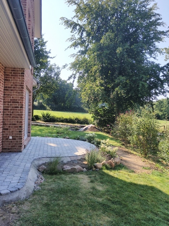 Terrassenbau-2020-b