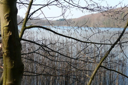 Ukleisee